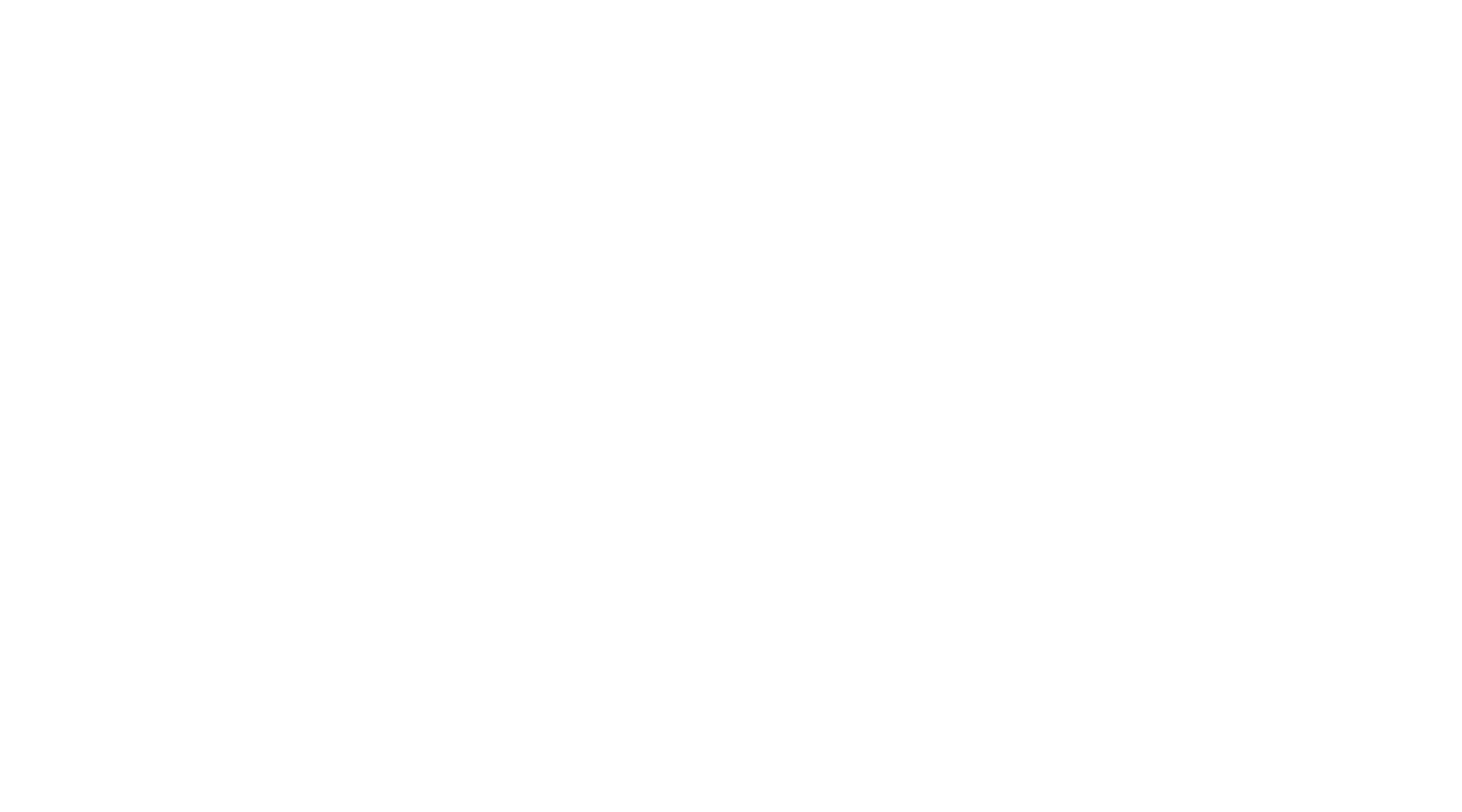 Vincent Pfister au Conseil d'Etat